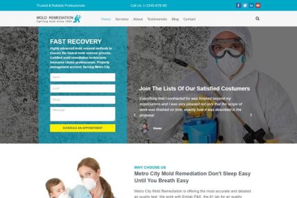 Mold Remediation WordPress Theme
